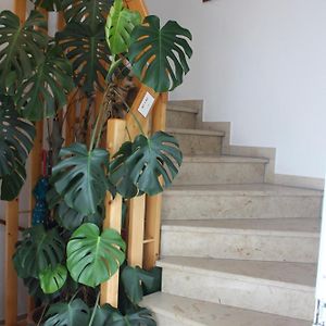 Dreibettzimmer
